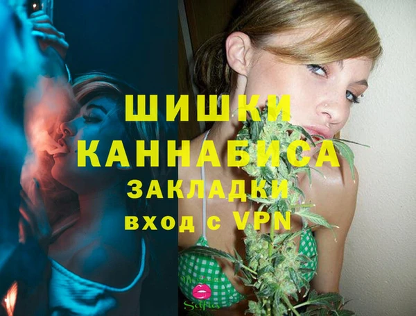 тгк Коряжма
