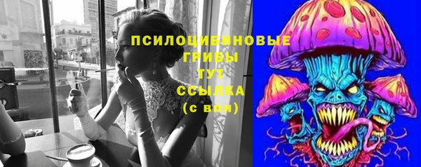 спиды Дрезна