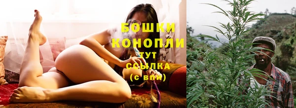гидра Дубна