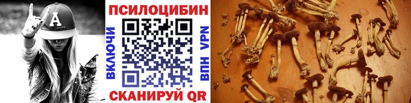 Псилоцибиновые грибы прущие грибы  Киренск 